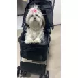 Carrinho de Passeio Pet com Porta Copo para Cães e Gatos - Vermelho