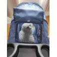 Carrinho de Passeio Pet com Porta Copo para Cães e Gatos - Vermelho